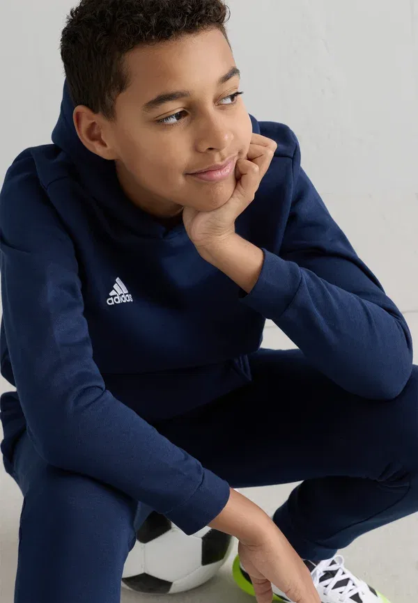Толстовка Adidas Performance Entrada 22, темно-синий