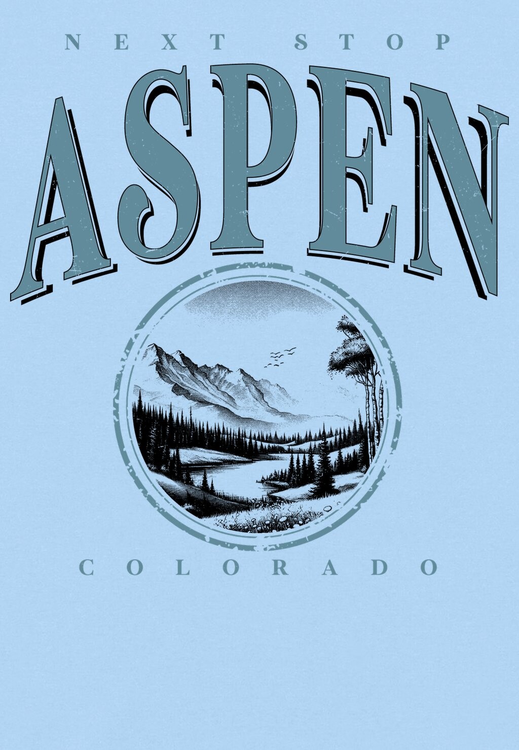 

Футболка с принтом NEXT STOP ASPEN Henry Tiger, светло-голубой
