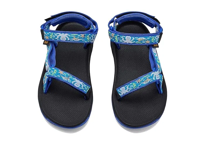 Сандалии для детей Hurricane XLT Jr Teva Kids, Ocean Creatures Dazzling Blue — фото 3