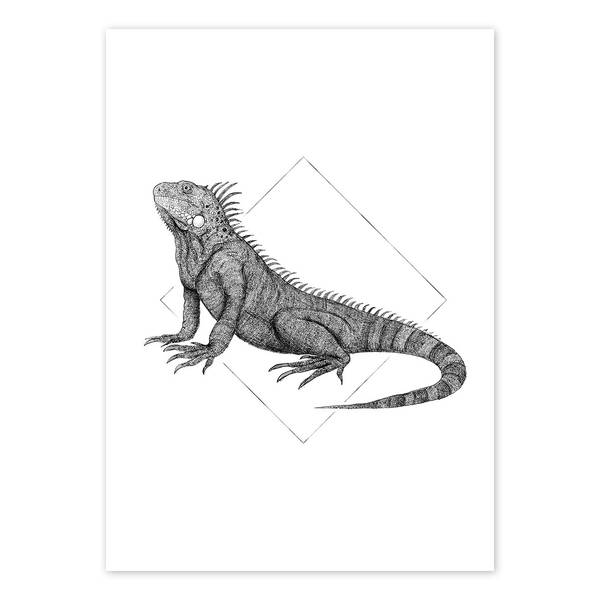 

Фреска Komar Iguana White, черно-белый