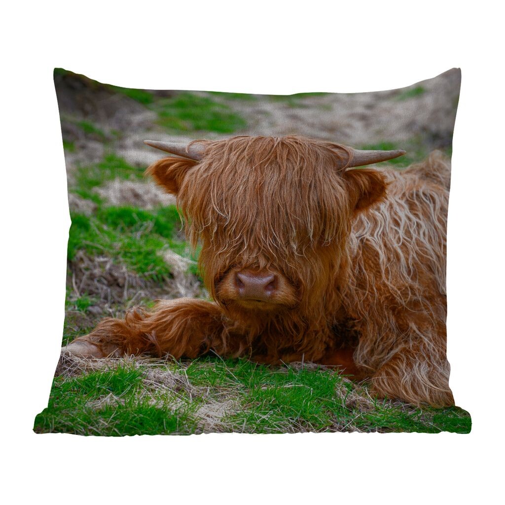 

Уличная подушка MuchoWow - Шотландский горец - Сено - Трава - 60x60 см - Устойчивость к атмосферным воздействиям - Подушка для отдыха - Чехлы для подушек - Декоративные чехлы для подушек - Декоративные чехлы для подушек, мультиколор