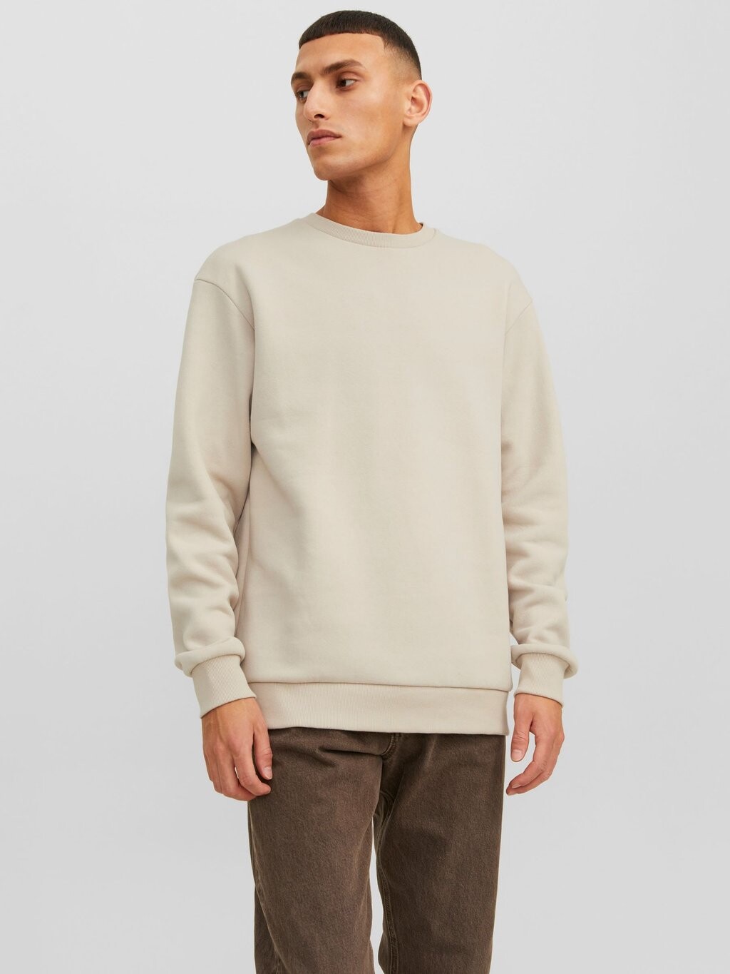 

Толстовка JJEBRADLEY CREW NOOS Jack & Jones, лунный луч