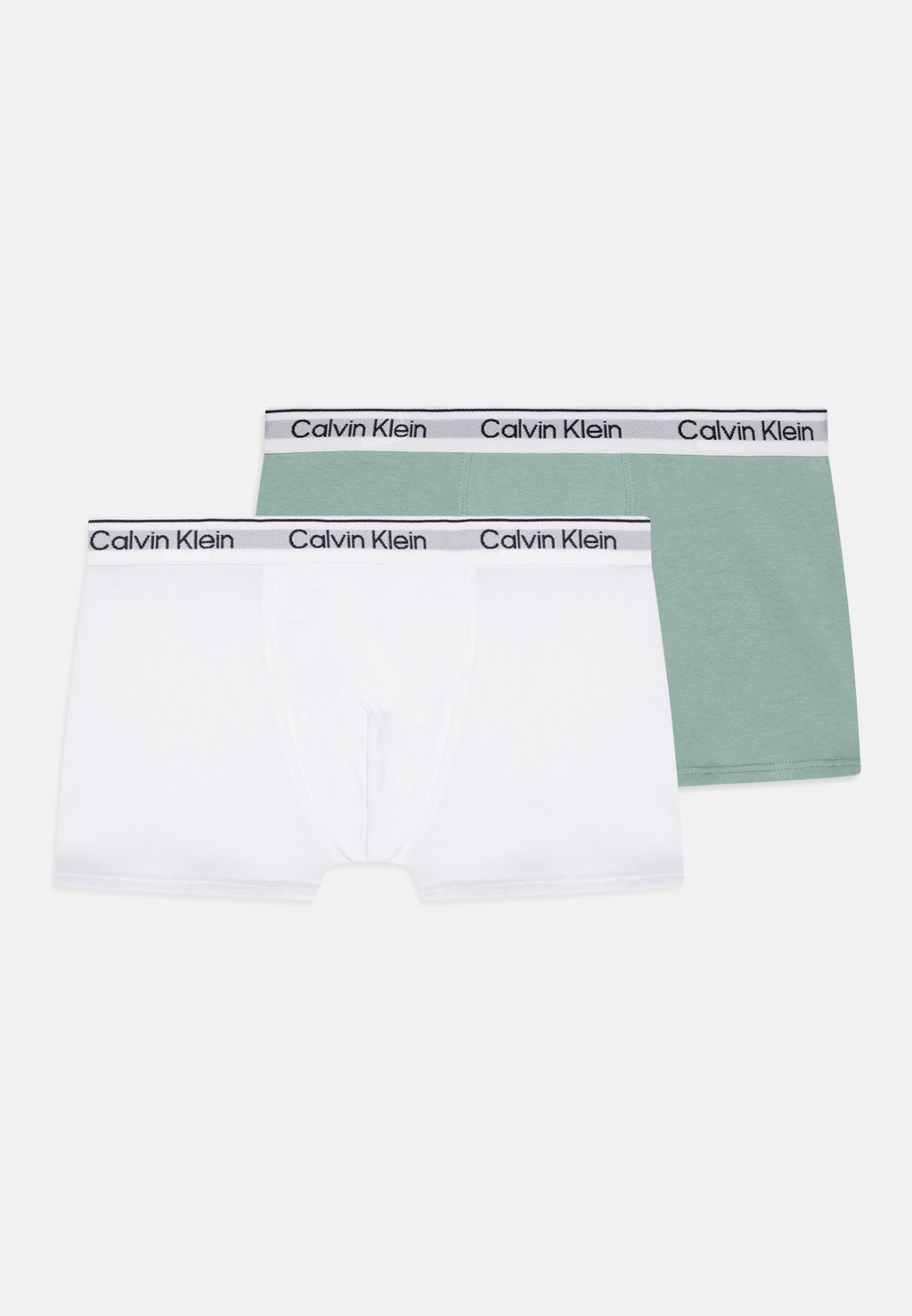 

Боксеры TRUNK 2 PACK Calvin Klein Underwear, зеленый
