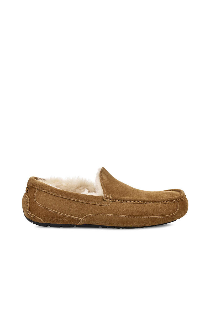 

Закрытые замшевые тапочки Ascot. Бренд УГГ Ugg, коричневый
