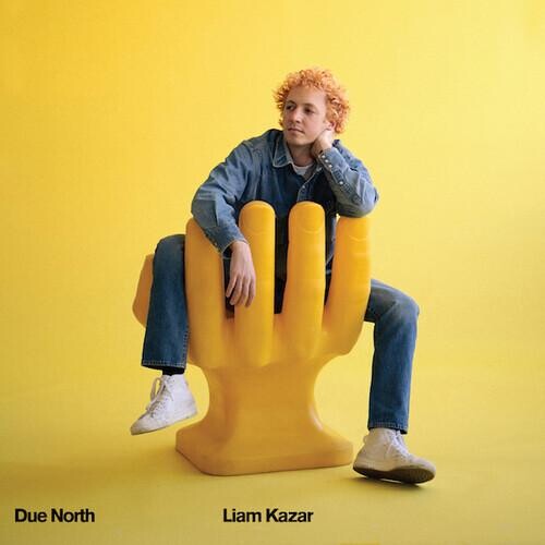 

Виниловая пластинка Kazar, Liam - Due North