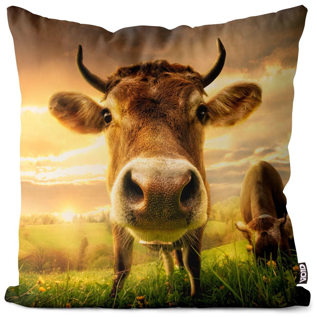 

VOID Корова Пастбище Пейзаж Чехол на подушку Полиэстер Водонепроницаемая подушка для улицы и дома Размер: 80 x 80 см