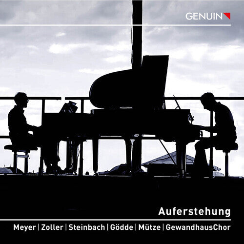 

CD диск Mahler / Meyer / Zoller: Auferstehung