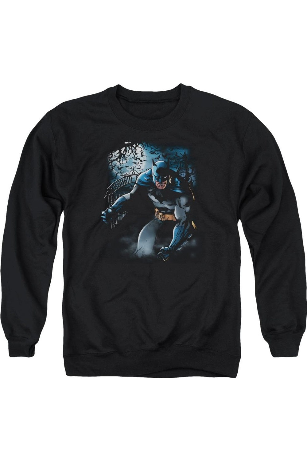 

Толстовка Batman Light Of The Moon для взрослых с круглым вырезом Gildan, черный