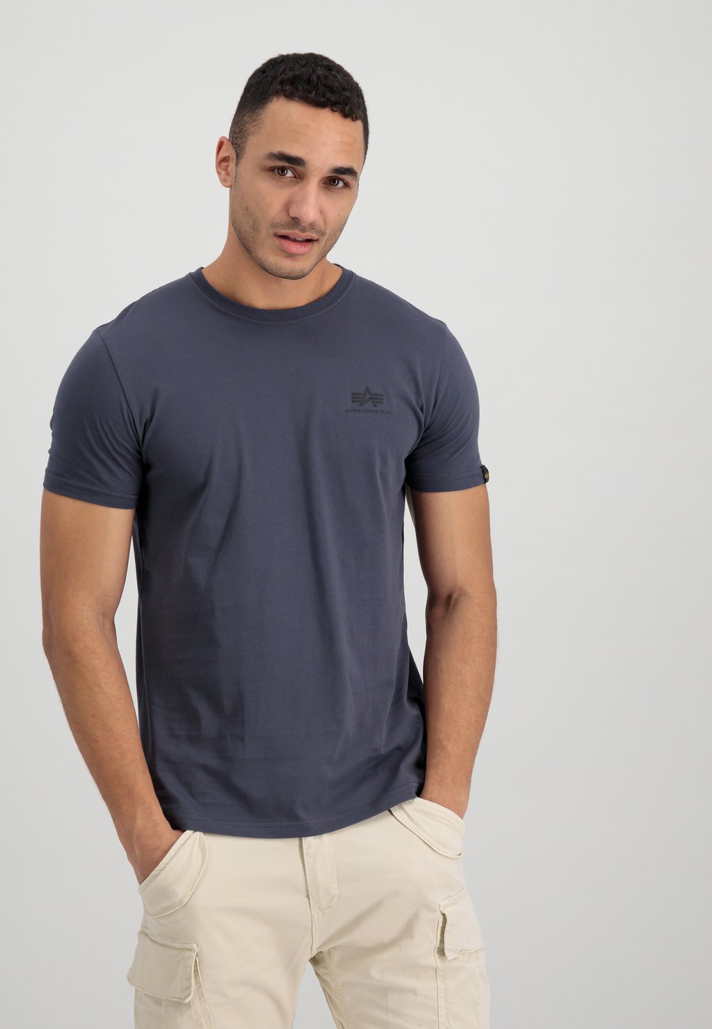 

Футболка с принтом BACK Alpha Industries, серый
