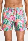 

Плавки ICE AND SLICE Boardies, мультиколор