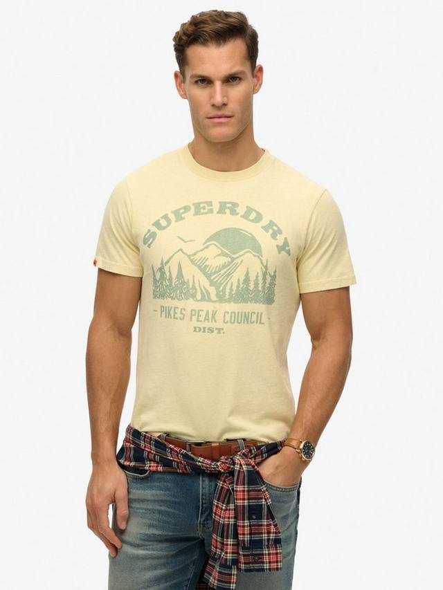 

Футболка с графическим рисунком lo-fi outdoor mono свободного кроя с коротким рукавом Superdry, цвет Laguna Yellow Marl