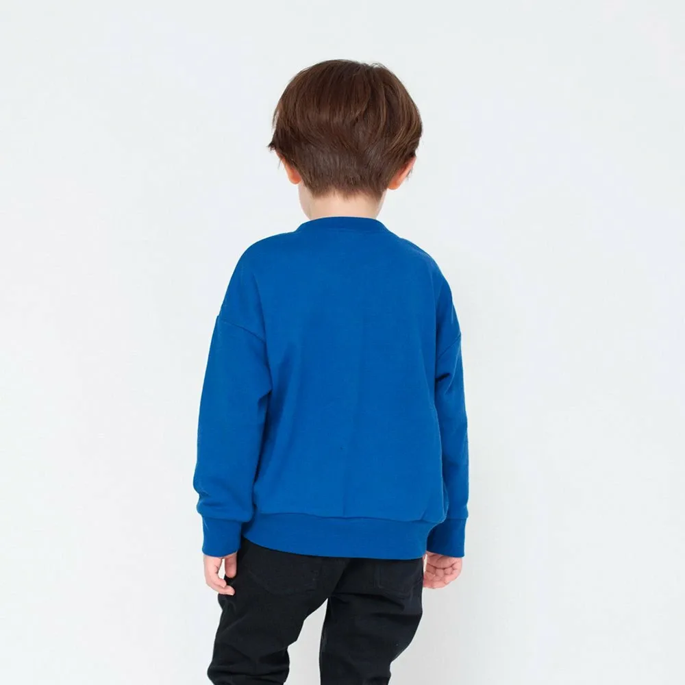 Толстовка с бархатным принтом и логотипом. Branshes, Royal Blue — фото 4