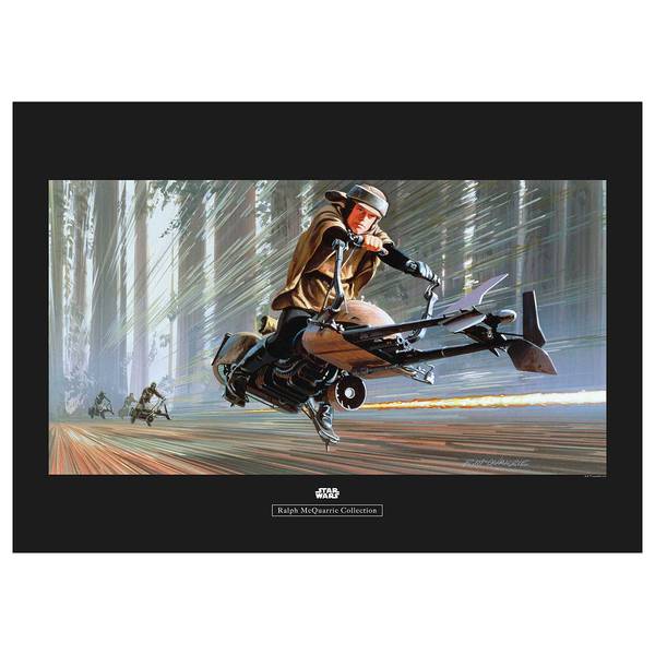 

Фреска Komar Star Wars Endor Speeder, разноцветный