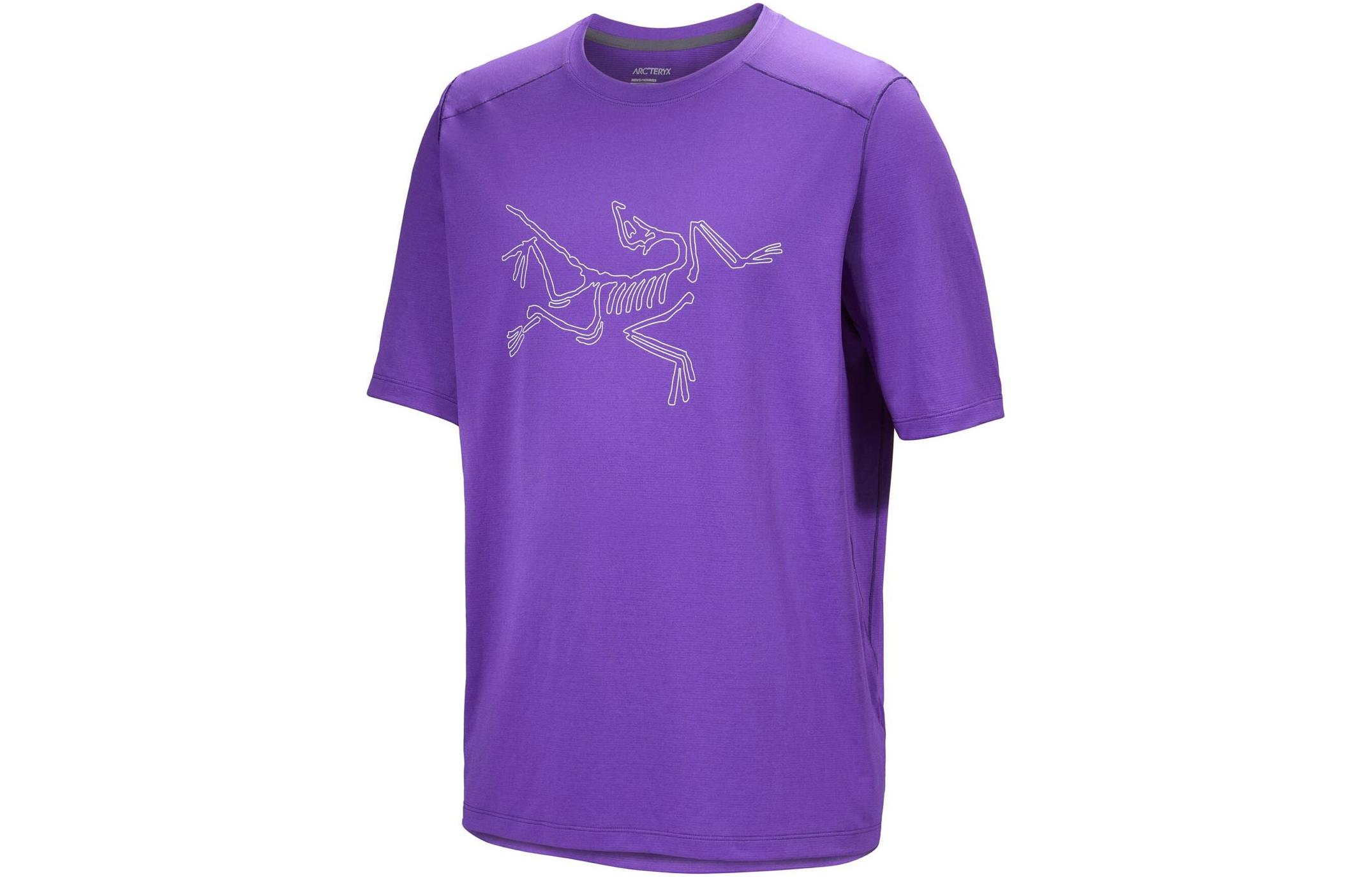 

Мужская быстросохнущая футболка CORMAC Arcteryx, iola heather