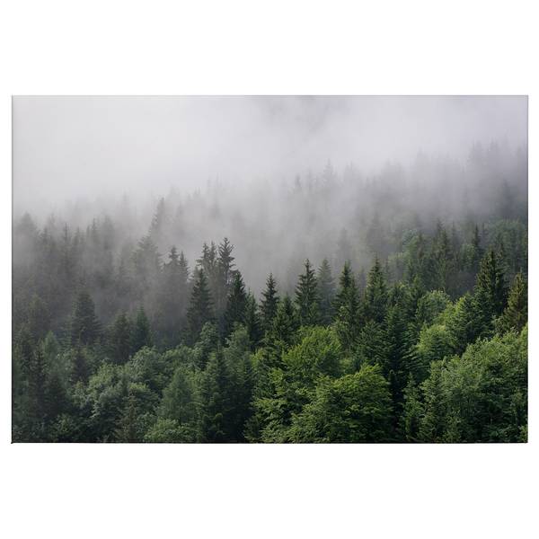 

Фреска A.S. Création Wald im Nebel, зеленый/белый