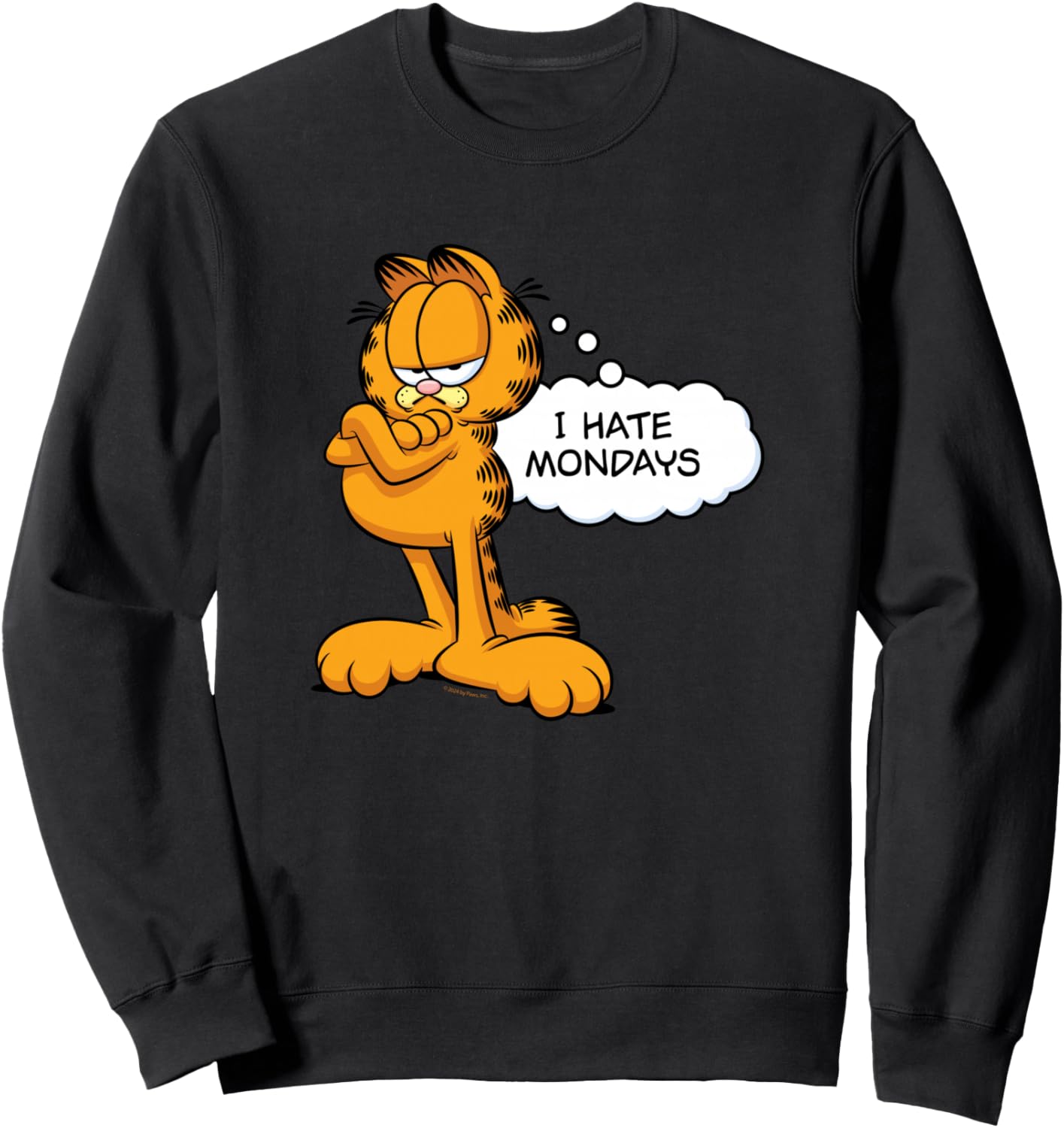 

Толстовка с изображением Гарфилда и надписью «Я ненавижу понедельники», черная Garfield