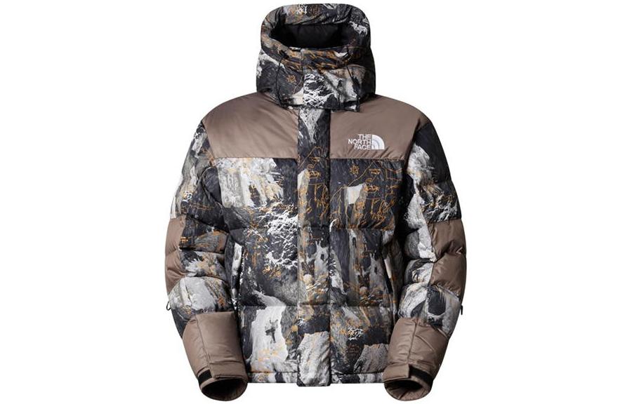 

THE NORTH FACE Мужской пуховик, цвет Brown