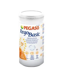 

Regobasic Порошок для мышечной функции, 250 г, без глютена Pegaso