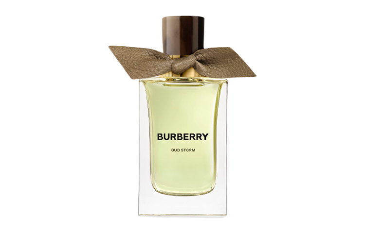 Высококлассный парфюм Ebony Storm с древесными нотами Eau De Parfum EDP 100 мл Burberry — фото 3