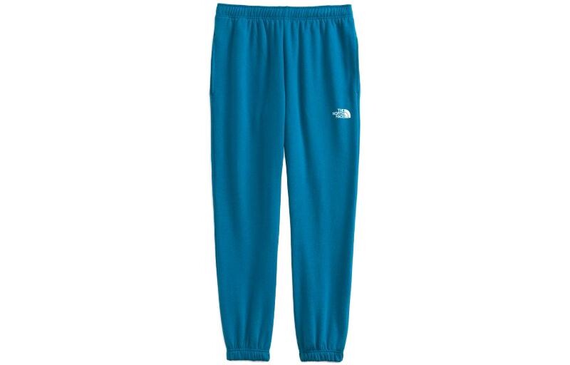 

THE NORTH FACE Мужские трикотажные спортивные штаны, цвет Blue