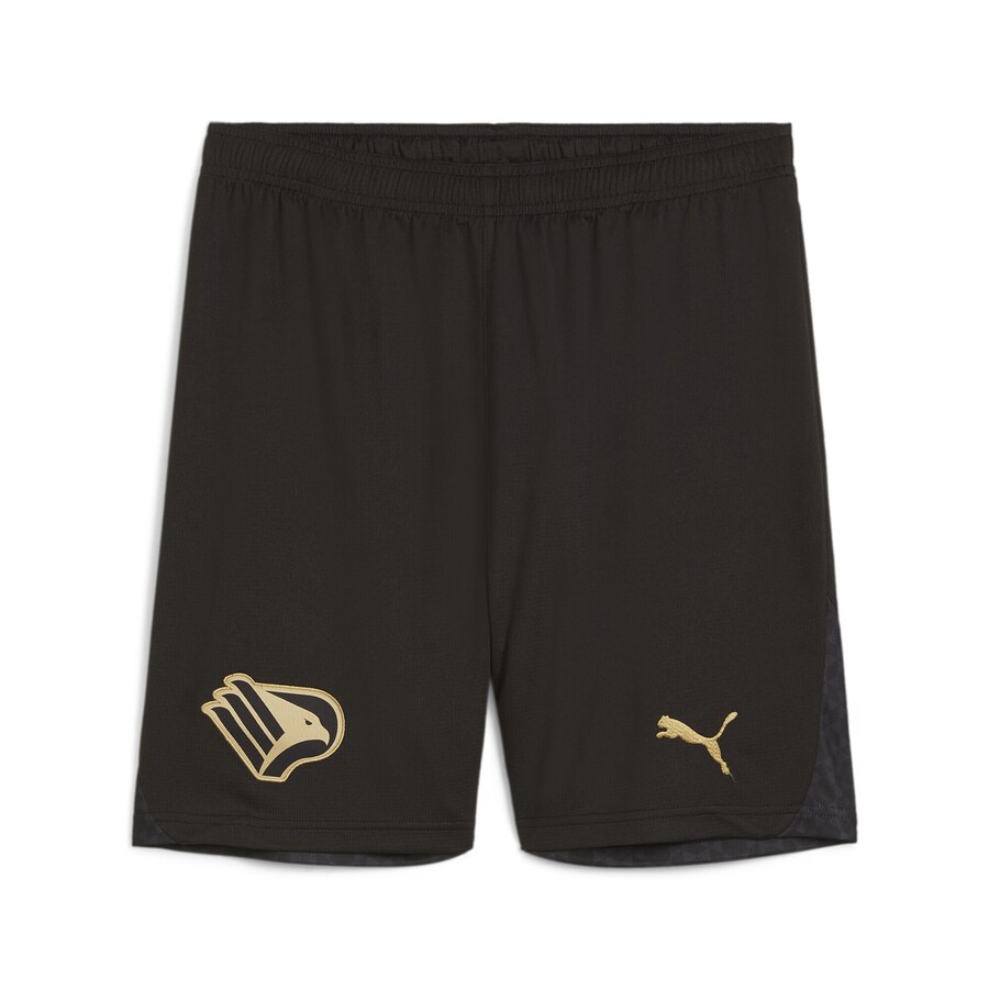 

Обычные спортивные штаны PUMA Palermo F.C., черный