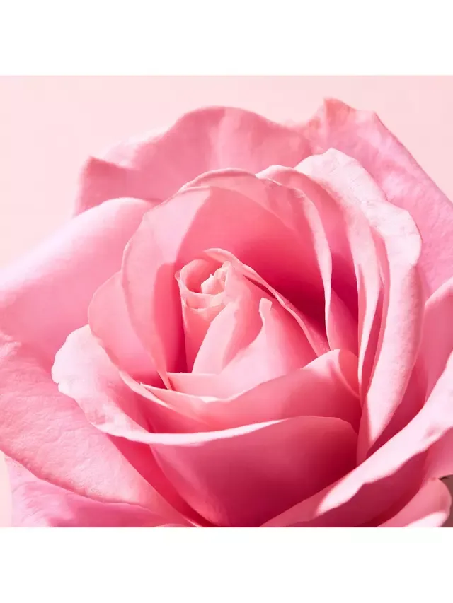 Крем для рук и ногтей Very Rose, 50 мл NUXE — фото 3