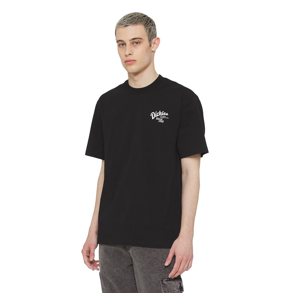 

Футболка с коротким рукавом Dickies Raven, черный