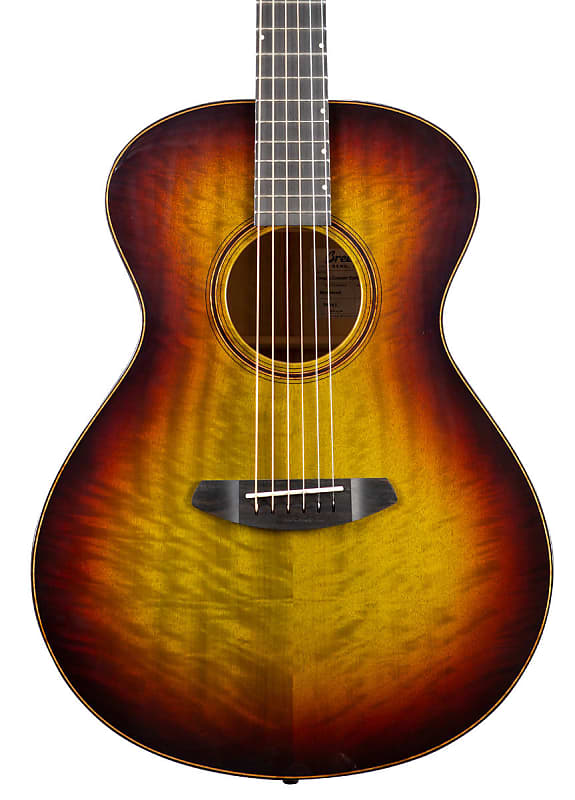 

Акустическая гитара Breedlove Oregon Concert Earthsong LTD Acoustic Guitar Myrtlewood Myrtlewood