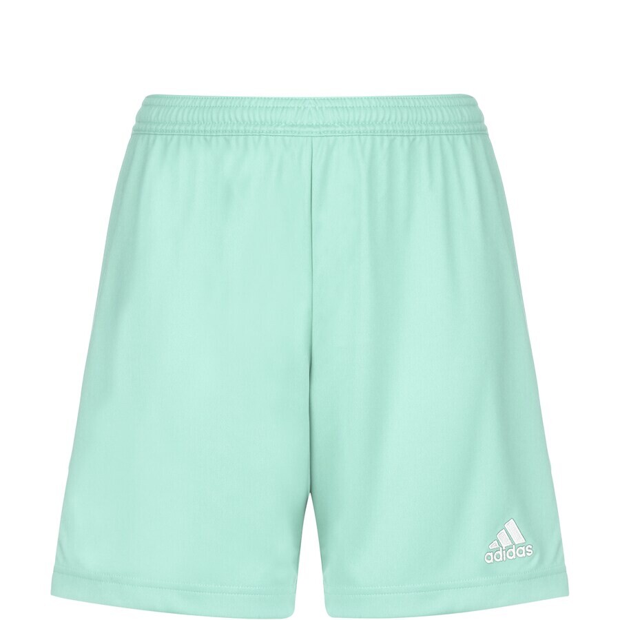 

Брюки ADIDAS PERFORMANCE Regular Workout Pants Entrada 22, цвет Mint