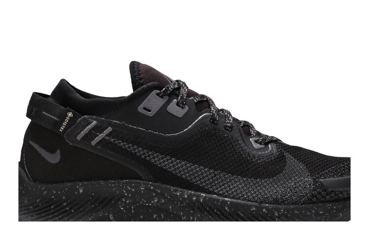 Кроссовки Nike Wmns Pegasus Trail 2 Gore-Tex, черный — фото 2