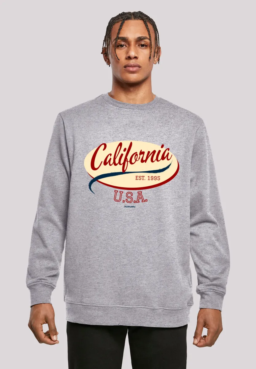 

Толстовка F4NT4STIC "California CREW", принт, серый