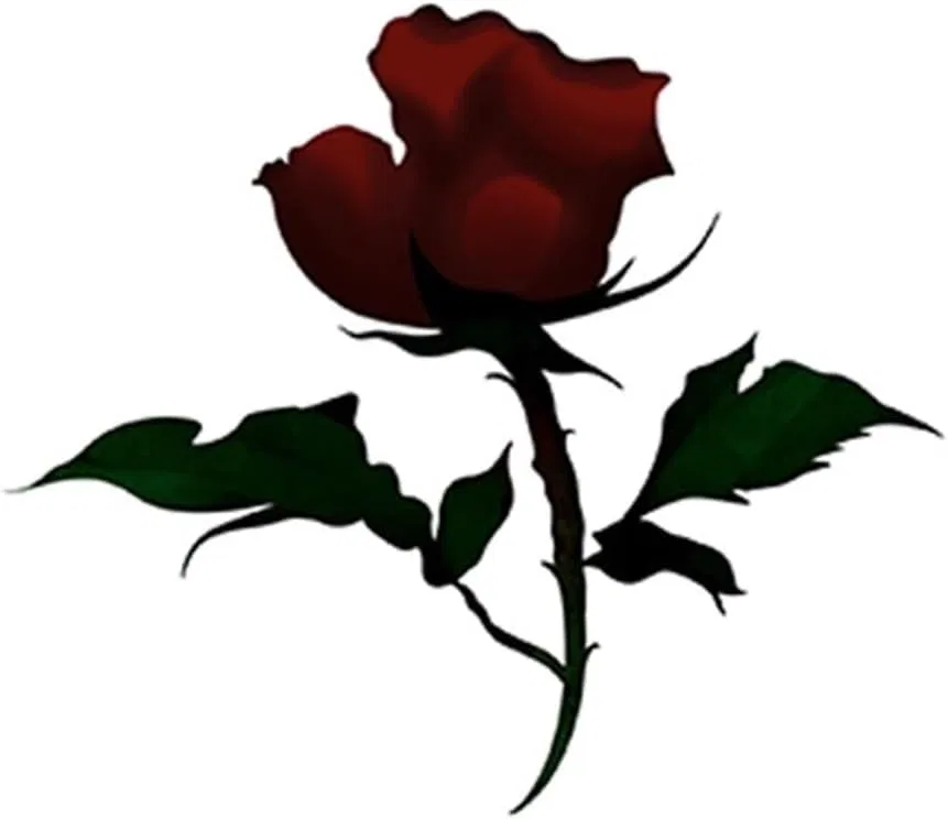 Временные татуировки розы, 4 шт., водостойкие, One Color