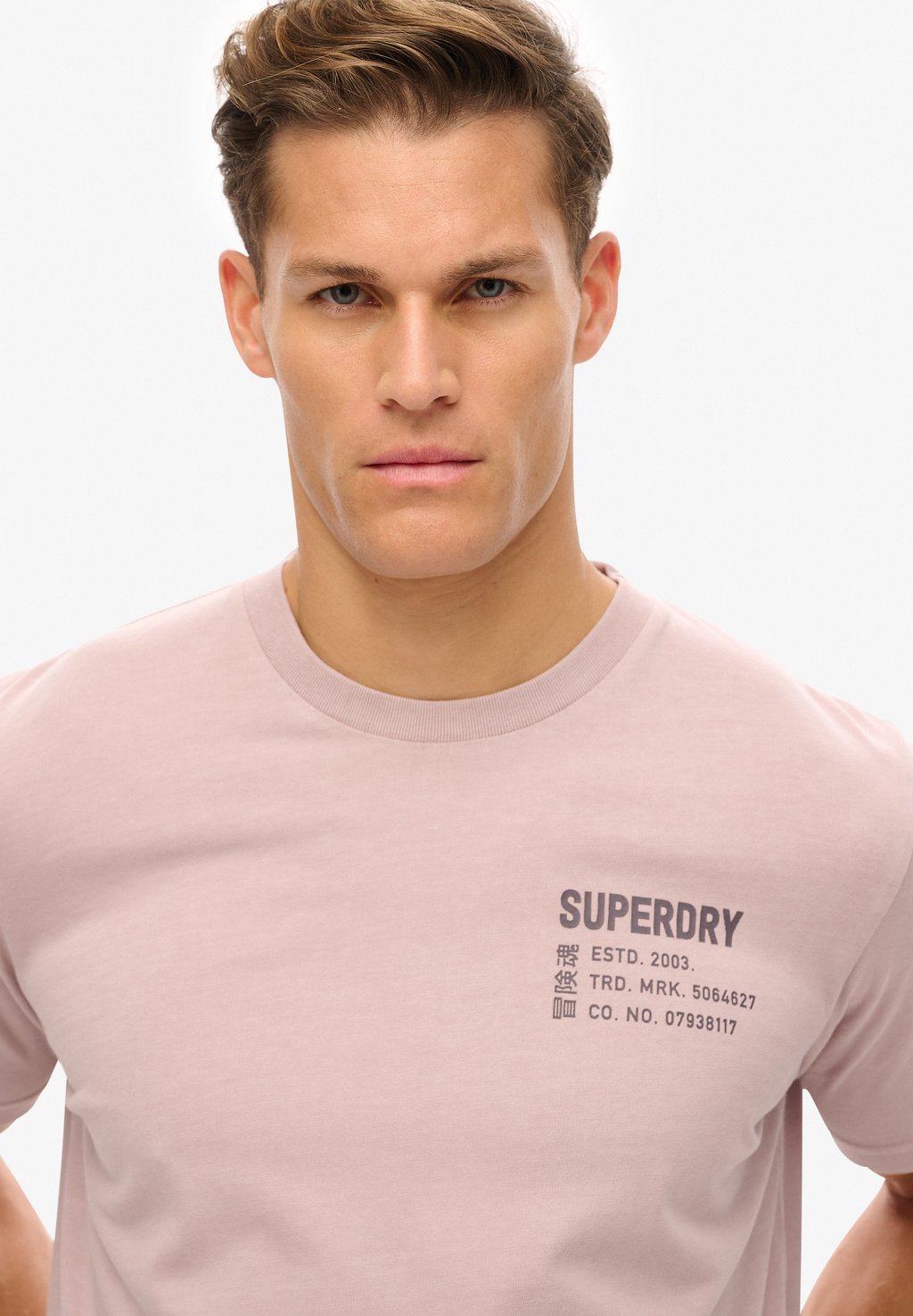 Футболка с принтом UTILITY GRAPHIC Superdry, светло-серый — фото 3