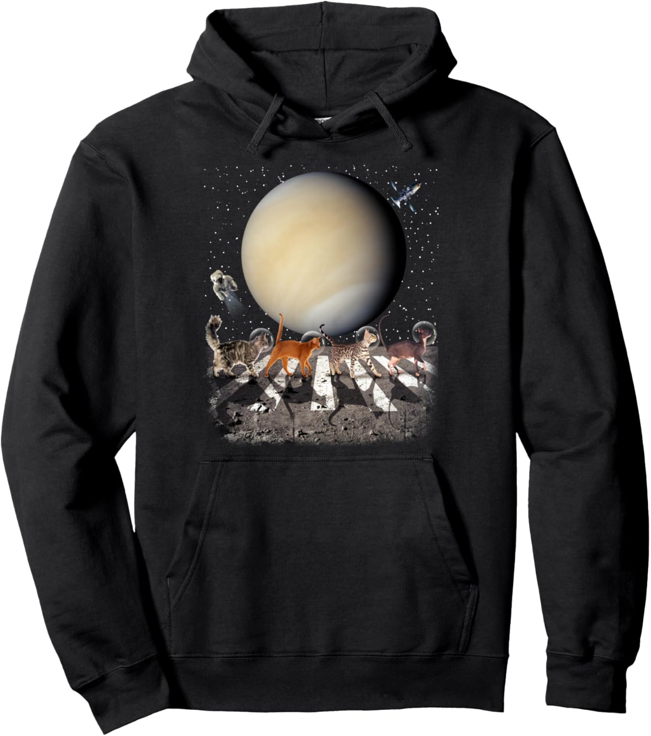 

Кот, идущий в космосе, кот-космонавт, планета Венера, худи для любителей кошек Space Cat Kitty Astronaut Funny Venus Planet, черный