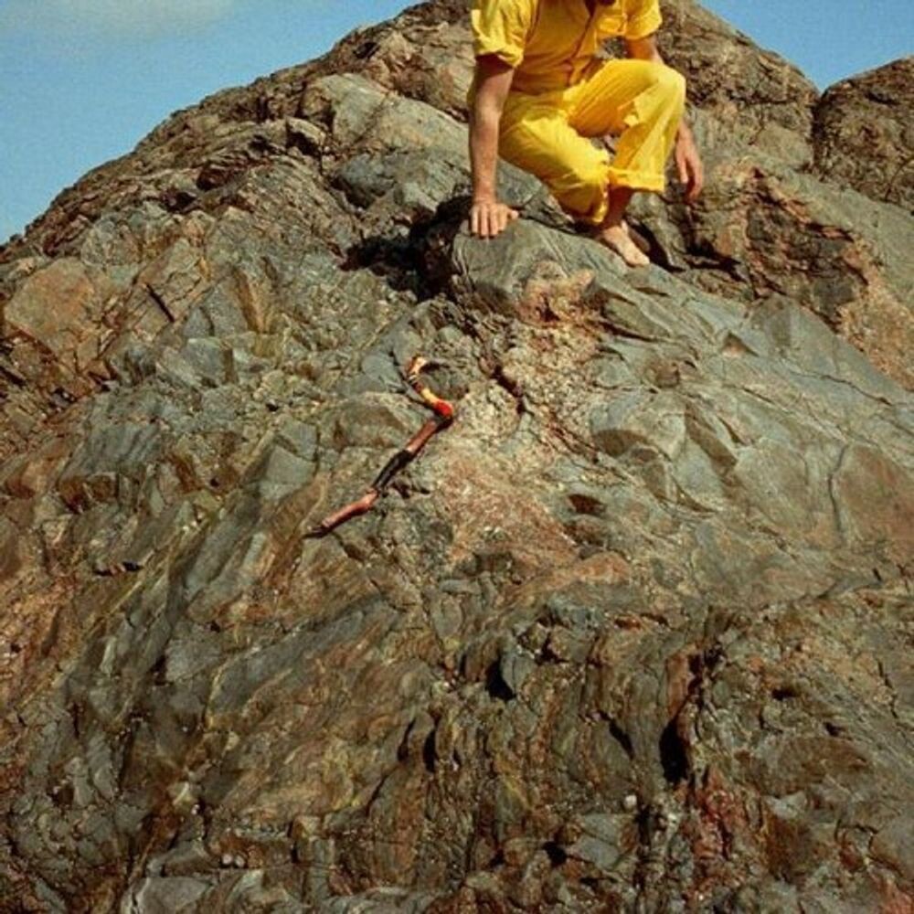 

Виниловая пластинка LP Lo! Soul [Eco Mix Color Vinyl] - Roddy Woomble