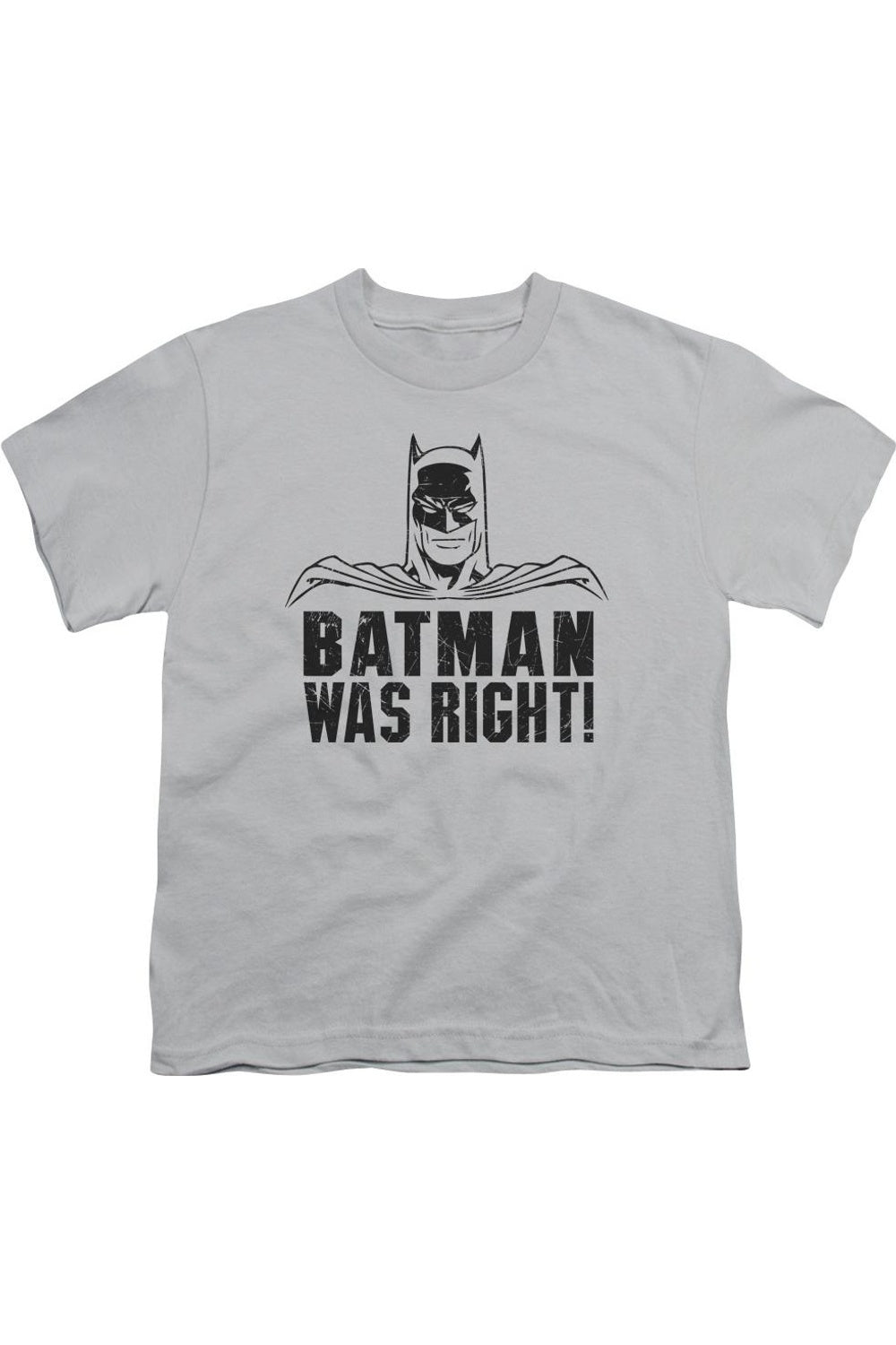 

Футболка с коротким рукавом для детей "Бэтмен был прав" Gildan, серебряный