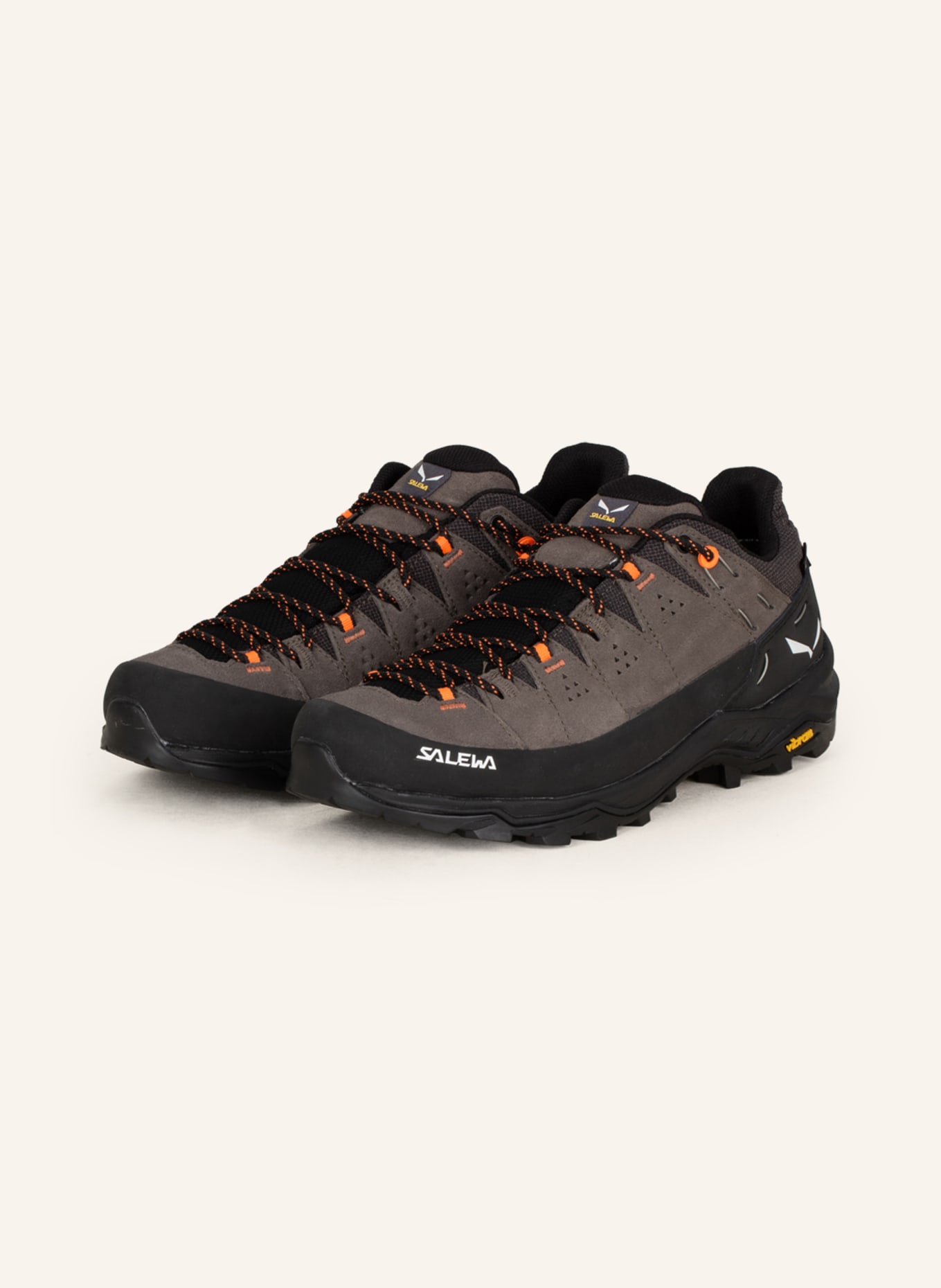 

Ботинки для походов alp trainer 2 gtx Salewa, мультиколор
