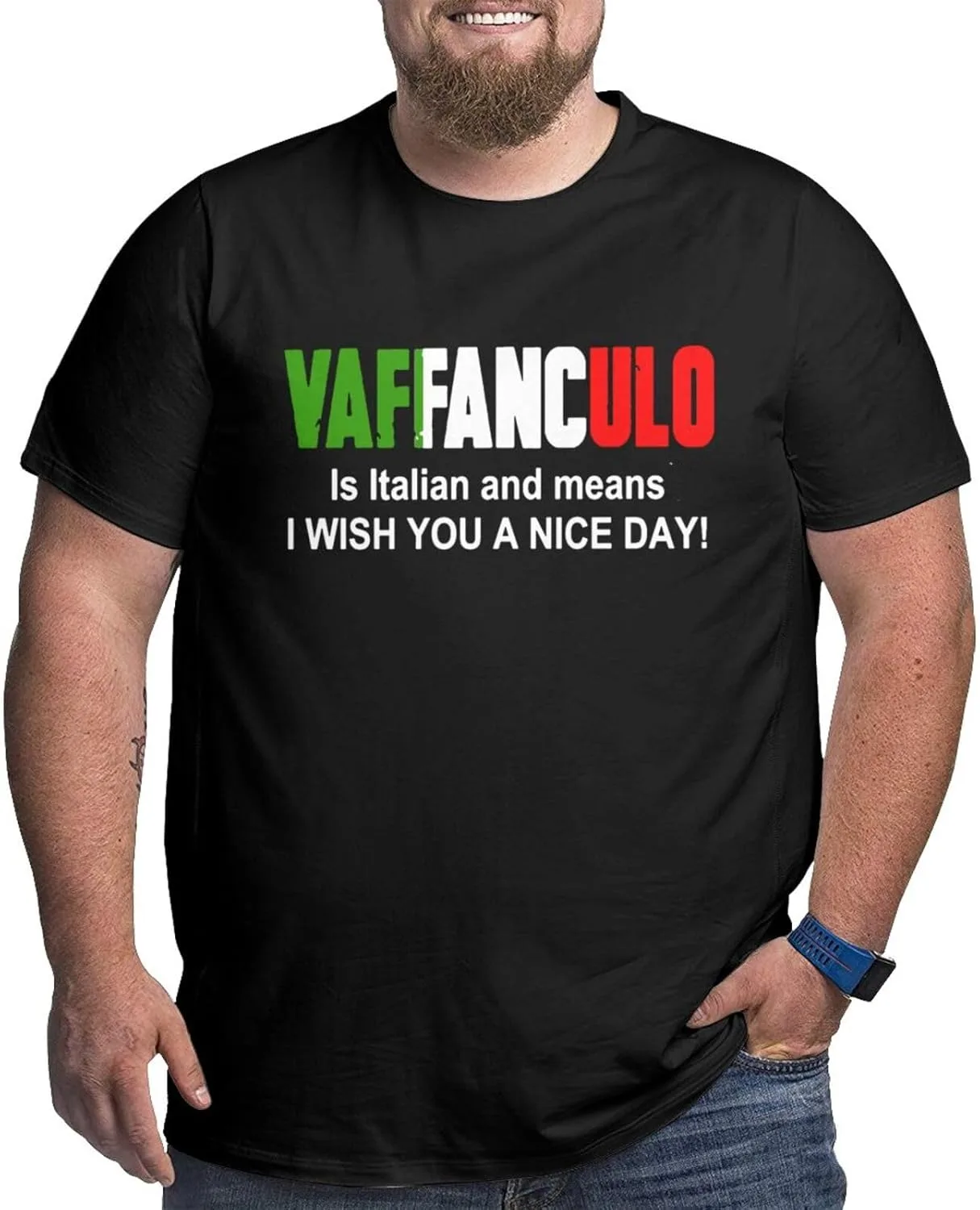

Футболка Vaffanculo is Italian for Have A Nice Day мужская летняя