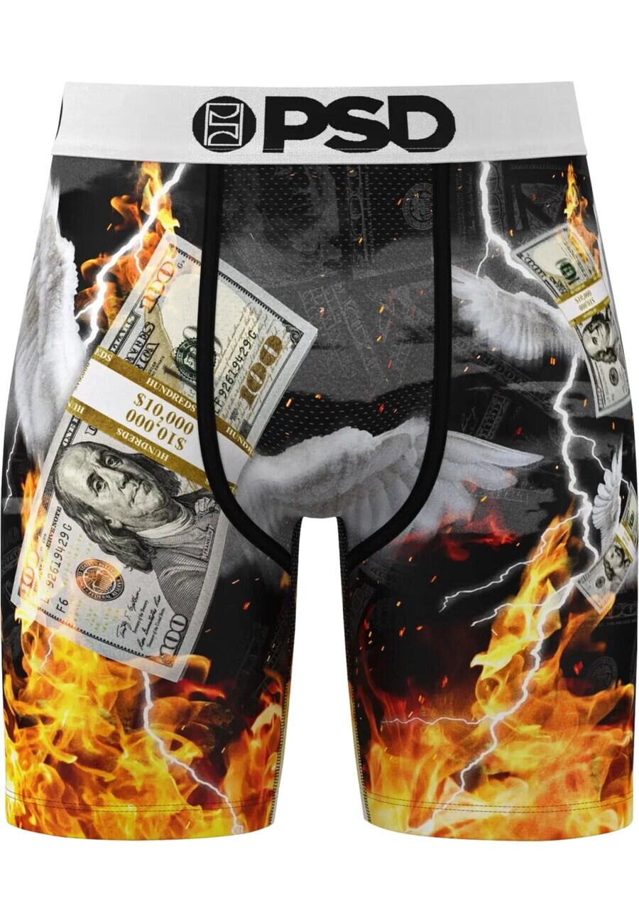 

Трусы PSD Boxer shorts Fly Money, разноцветный