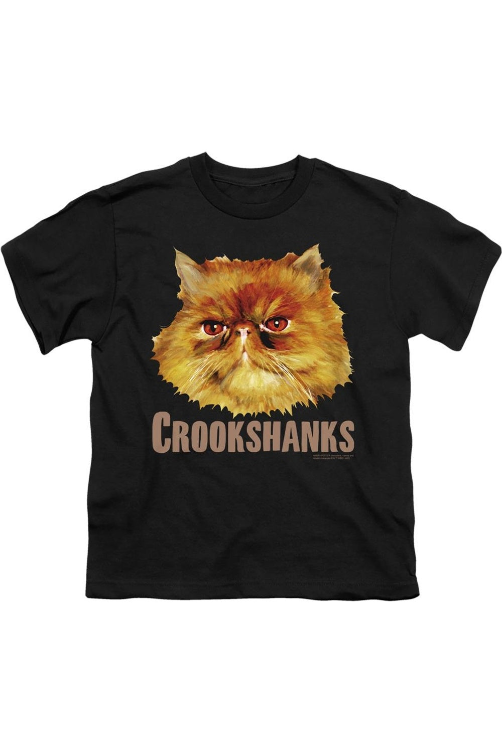 

Футболка с коротким рукавом для детей "Гарри Поттер" с Коськой Gildan, черный