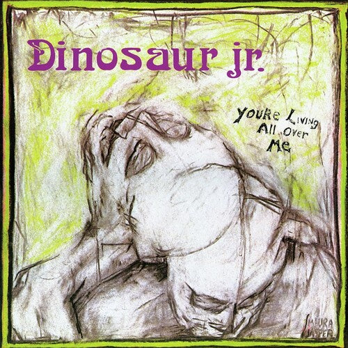 

CD диск Dinosaur Jr: You're Living All Over Me