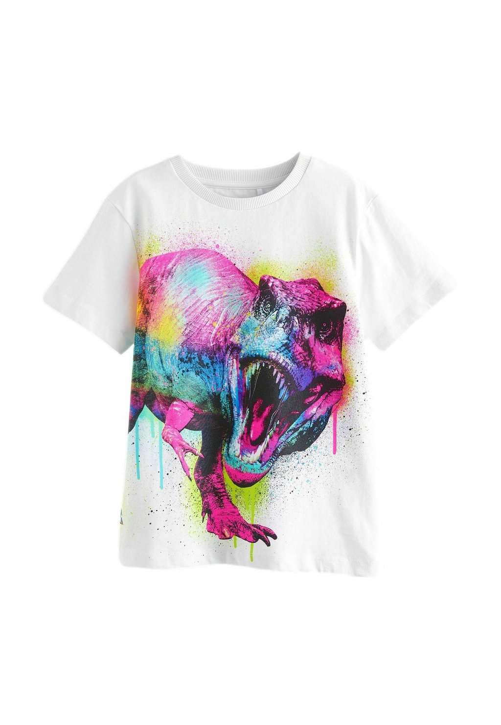 

Футболка с принтом SHORT SLEEVE GRAPHIC STANDARD Next, цвет white rainbow dino