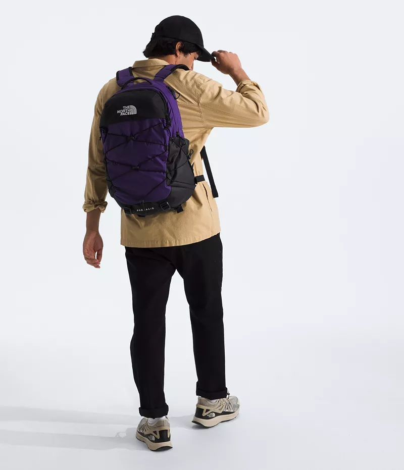 

Рюкзак The North Face Borealis, цвет Peak Purple/Tnf Black