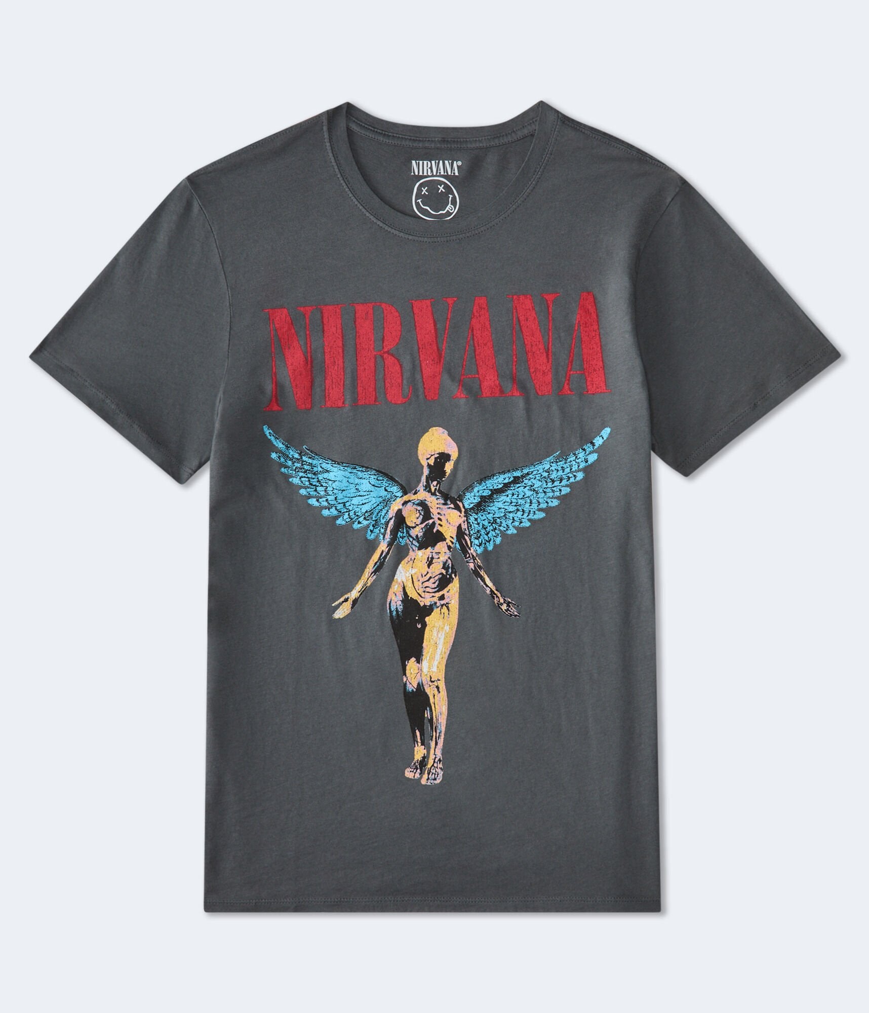 

Aeropostale Nirvana In Utero Футболка свободного покроя с рисунком, серый
