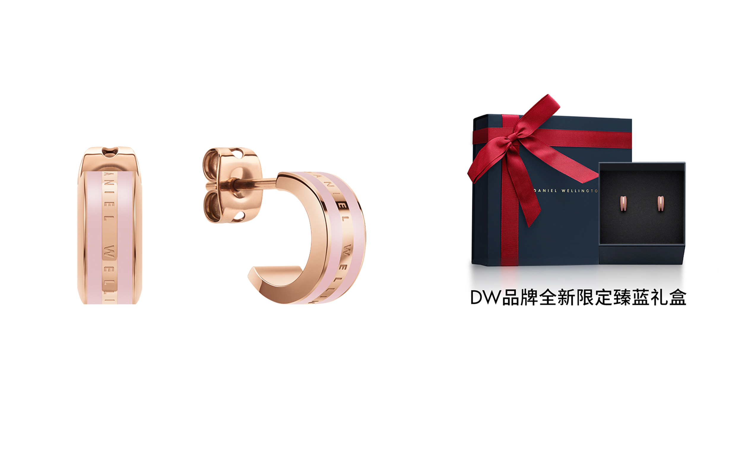 

Серьги-гвоздики Daniel Wellington Alloy для женщин DW/DanielWellington