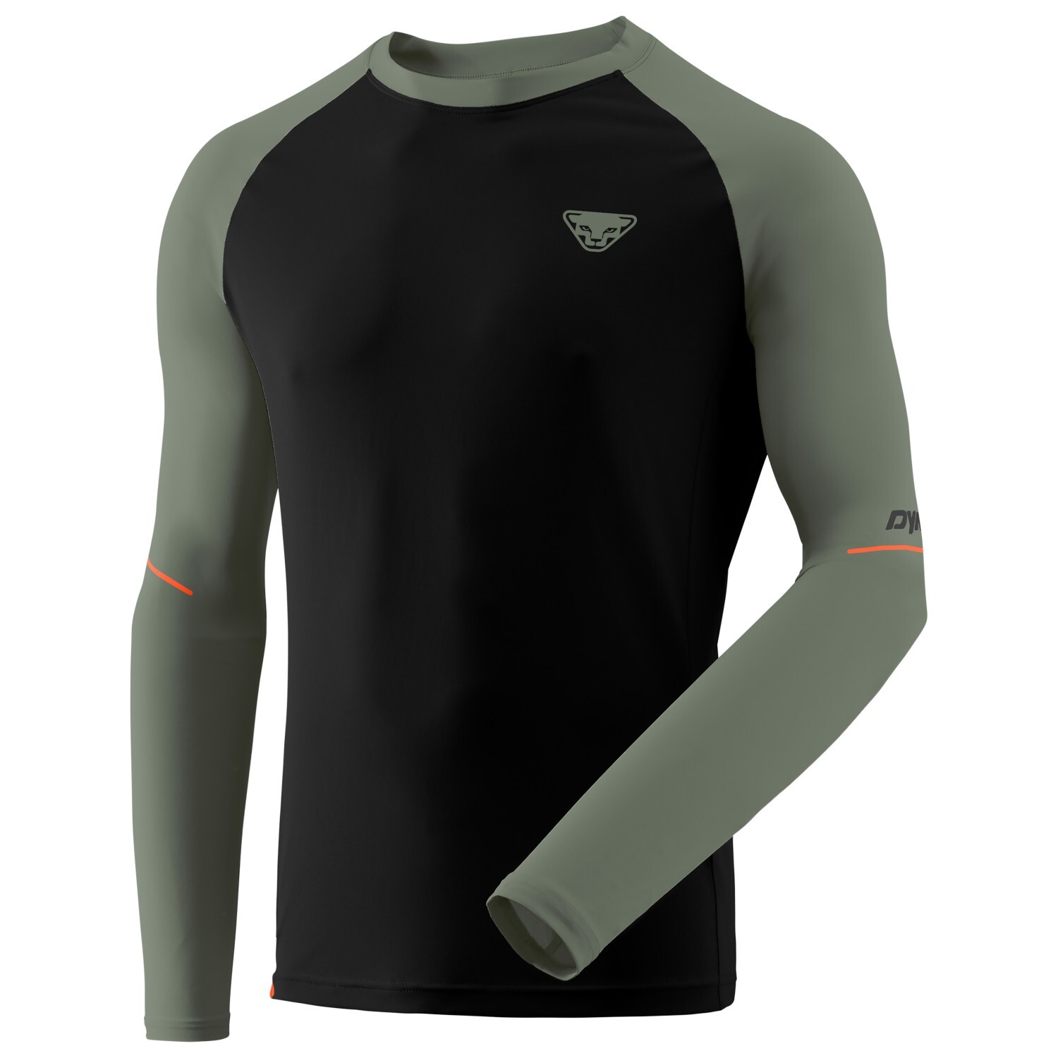 

Беговая рубашка Dynafit Alpine Pro L/S Tee, цвет Black Out Sage/5290