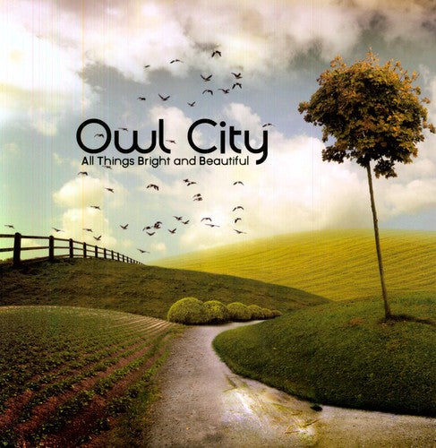 

Виниловая пластинка Owl City: All Things Bright and Beautiful