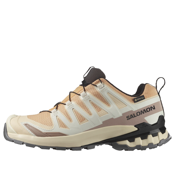 

Кроссовки xa pro 3d v9 gtx 478176 Salomon, бежевый