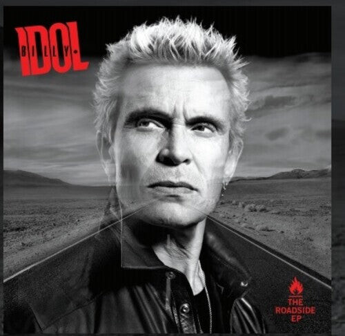 

Виниловая пластинка Idol, Billy: The Roadside
