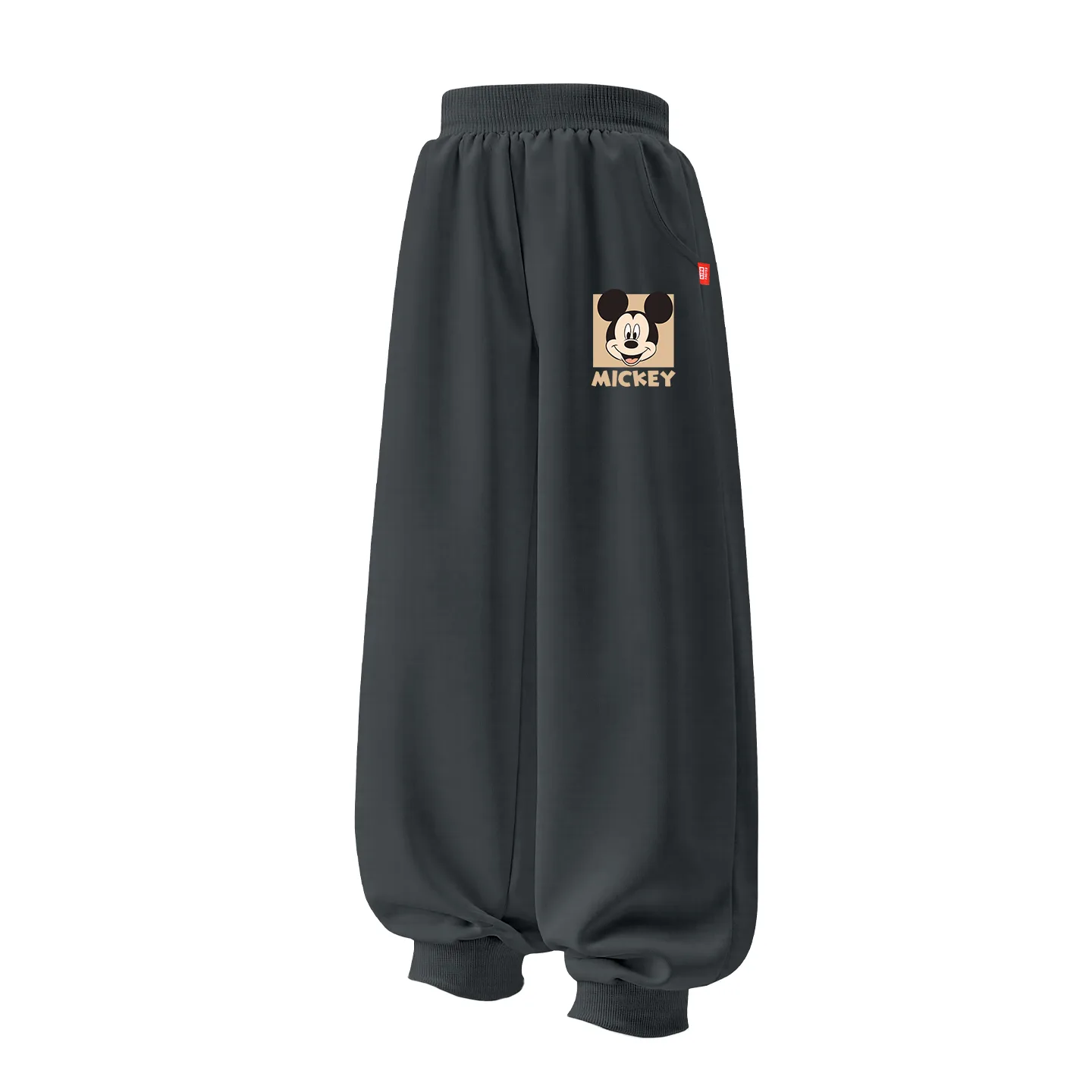 Детские вязаные спортивные штаны Disney, [Velvet and Thickened]Dixie K Graphite Gray